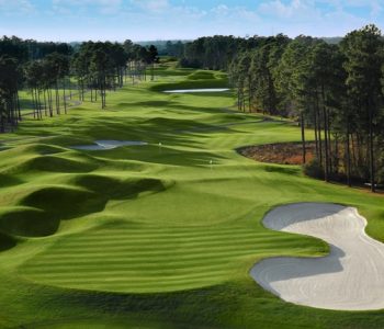 Wild Wing Golf Packages Save