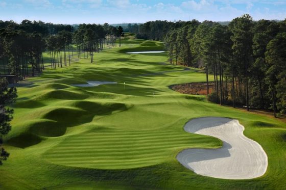 Wild Wing Golf Packages Save